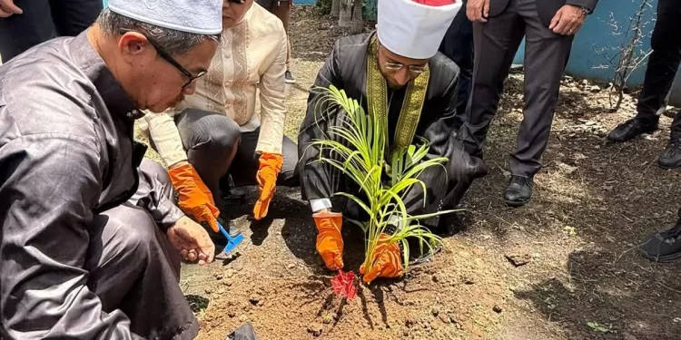 Le ministre des Waqfs plante « l’arbre égyptien » aux Philippines 1 - Le Progrès Egyptien