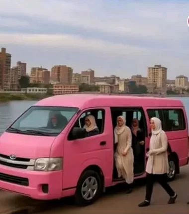 Un bus rose réservé aux femmes : Une idée qui divise 4 - Le Progrès Egyptien Un bus rose réservé aux femmes : Une idée qui divise 3 - Le Progrès Egyptien