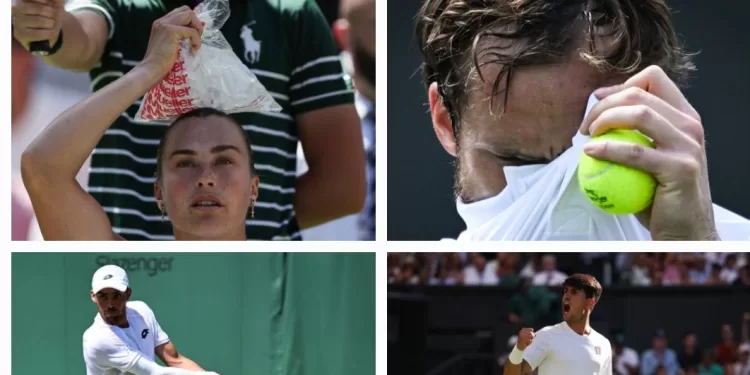 Wimbledon: Alcaraz bousculé, Medvedev et Rune éliminés, Sabalenka sans forcer 1 - Le Progrès Egyptien