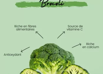 Rôle clé du brocoli dans l’équilibre hormonal
