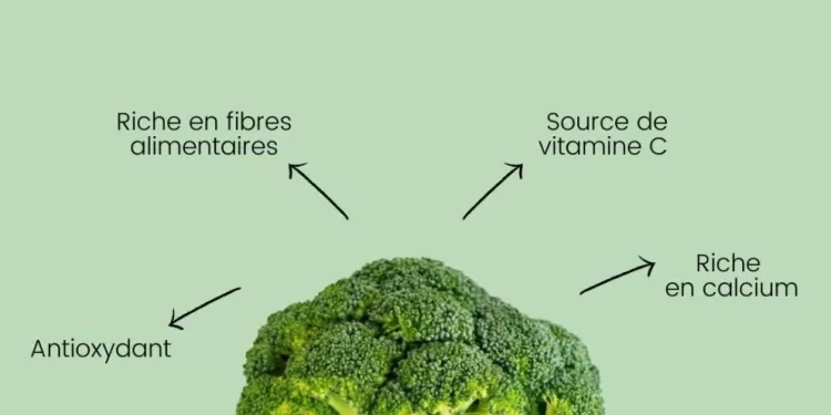 Rôle clé du brocoli dans l’équilibre hormonal 2 - Le Progrès Egyptien Rôle clé du brocoli dans l’équilibre hormonal 1 - Le Progrès Egyptien