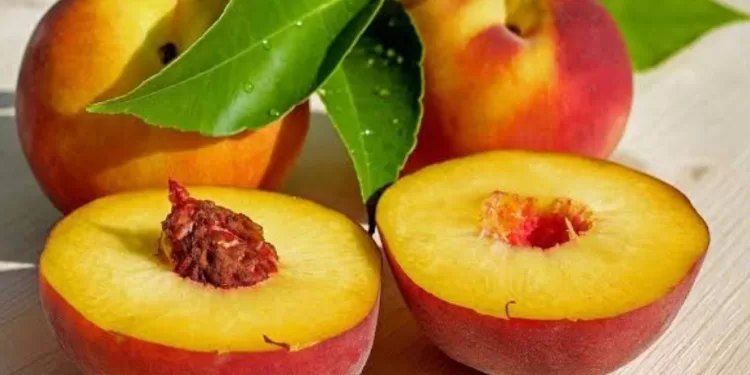 Quels sont les bienfaits des pêches ? 2 - Le Progrès Egyptien Quels sont les bienfaits des pêches ? 1 - Le Progrès Egyptien