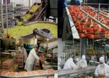 L’industrie alimentaire, pilier du développement économique