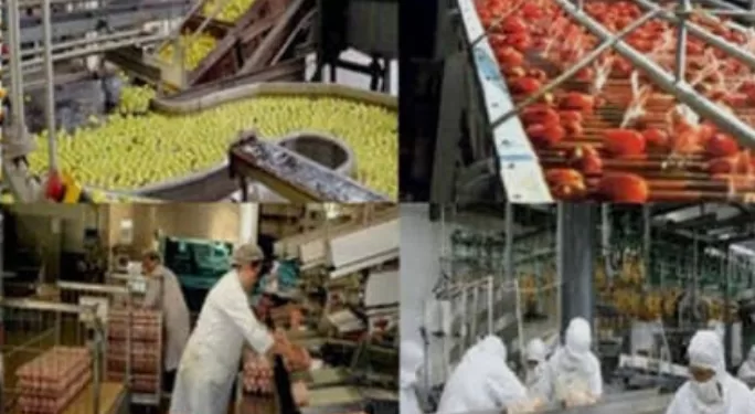 L’industrie alimentaire, pilier du développement économique 2 - Le Progrès Egyptien L’industrie alimentaire, pilier du développement économique 1 - Le Progrès Egyptien