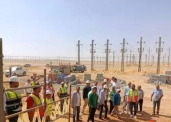 Alimentation en électricité des projets du nouveau Delta