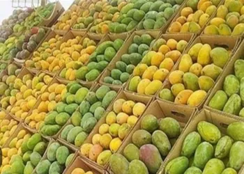 La mangue : Nutriments et bienfaits