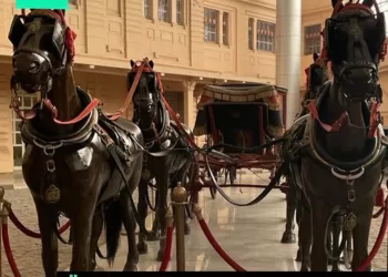 Ouverture de la bibliothèque du Musée des Carrosses royaux à Boulaq