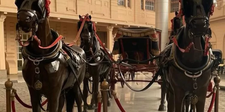 Ouverture de la bibliothèque du Musée des Carrosses royaux à Boulaq 1 - Le Progrès Egyptien