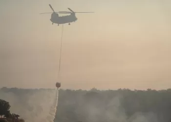 Chypre: Deux morts dans un feu de forêt