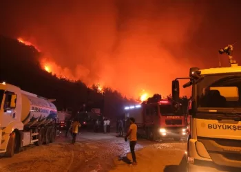 La Turquie suffoque, ses forêts brûlent