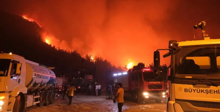 La Turquie suffoque, ses forêts brûlent 2 - Le Progrès Egyptien La Turquie suffoque, ses forêts brûlent 1 - Le Progrès Egyptien