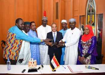 AE : Multiplier la coopération avec les pays africains