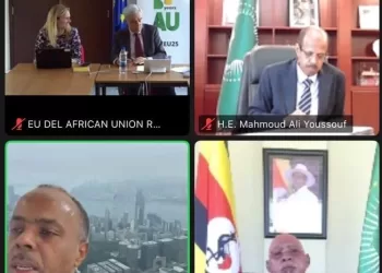 L’Égypte réitère son soutien à la stabilité de la Somalie 