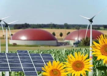 Essor record des énergies renouvelables