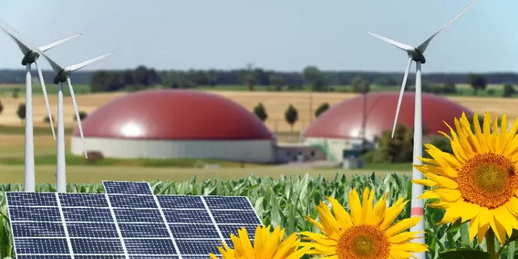 Essor record des énergies renouvelables 1 - Le Progrès Egyptien