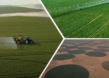 Nouveau Delta: Soutenir les projets de production agricole