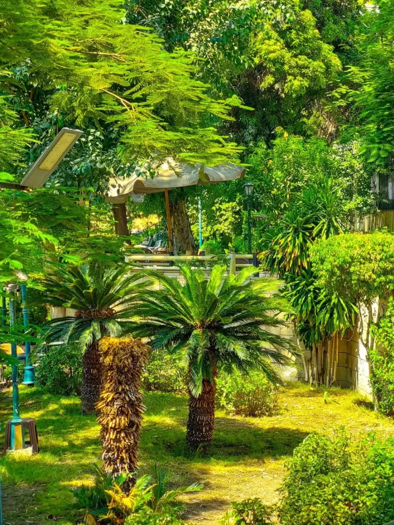 Parc Obour à Zamalek, quand la verdure se mêle aux eaux du Nil 4 - Le Progrès Egyptien Parc Obour à Zamalek, quand la verdure se mêle aux eaux du Nil 3 - Le Progrès Egyptien
