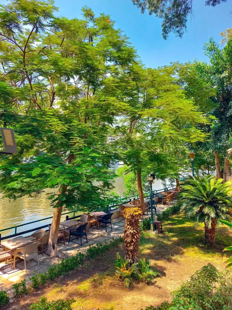 Parc Obour à Zamalek, quand la verdure se mêle aux eaux du Nil 6 - Le Progrès Egyptien Parc Obour à Zamalek, quand la verdure se mêle aux eaux du Nil 5 - Le Progrès Egyptien