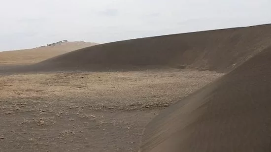 Quand la nature défie la logique! 10 - Le Progrès Egyptien Quand la nature défie la logique! 9 - Le Progrès Egyptien