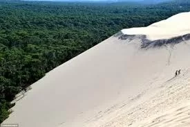Quand la nature défie la logique! 6 - Le Progrès Egyptien Quand la nature défie la logique! 5 - Le Progrès Egyptien