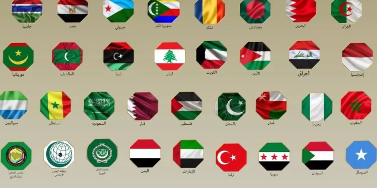 Les ministres arabes et islamiques dénoncent avec force les propos et politiques israéliens menaçant la paix et le droit international 1 - Le Progrès Egyptien