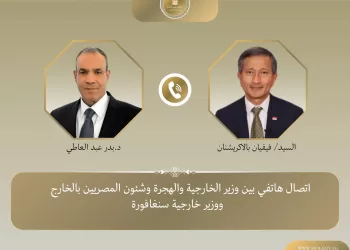 Entretien téléphonique entre les ministres des Affaires étrangères d’Égypte et de Singapour