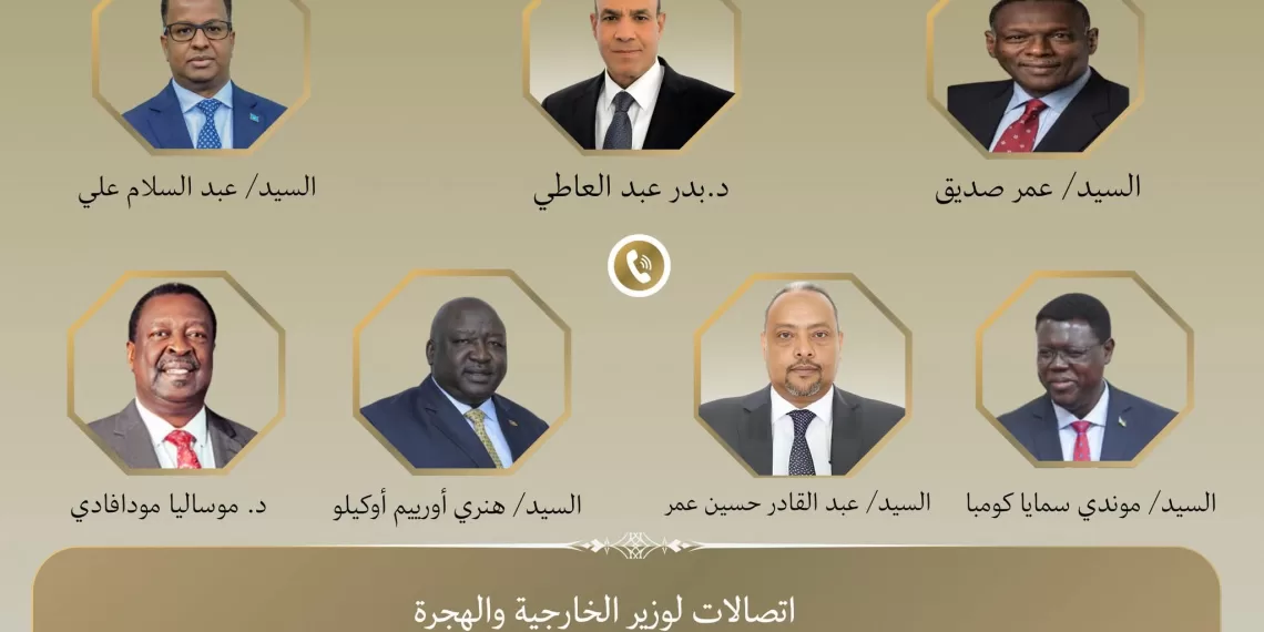 Diplomatie africaine : le ministre des Affaires étrangères multiplie les contacts pour renforcer la coopération régionale 1 - Le Progrès Egyptien