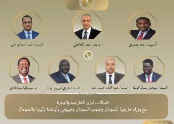 Diplomatie africaine : le ministre des Affaires étrangères multiplie les contacts pour renforcer la coopération régionale