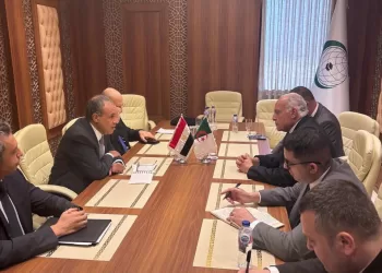 Consultations égypto-algériennes à Djeddah