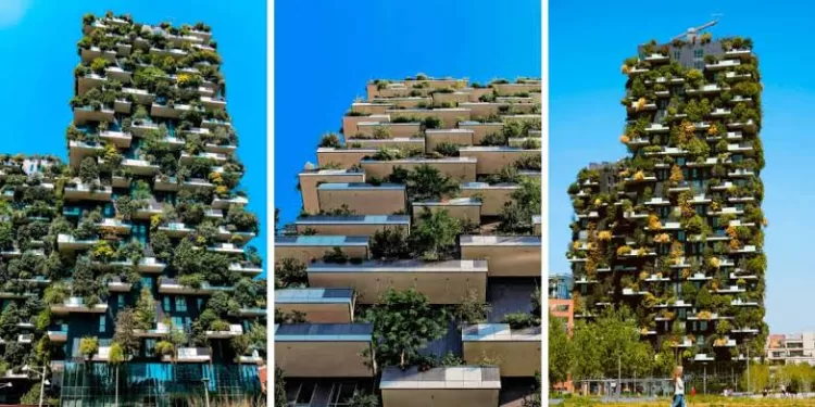 L’architecture émotionnelle: Quand les murs nous parlent 2 - Le Progrès Egyptien L’architecture émotionnelle: Quand les murs nous parlent 1 - Le Progrès Egyptien