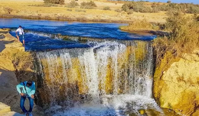 Les réserves naturelles, un trésor national et un patrimoine mondial 1 - Le Progrès Egyptien