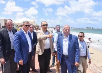 Intérêt majeur au développement d’Al-Maamoura à Alexandrie