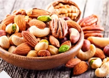 Les fruits secs précieux pour une alimentation équilibrée