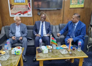 L’Egypte en Afrique par l’agriculture et le travail !