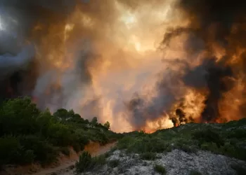 Le plus gros incendie de l’été en France reste incontrôlé dans l’Aude