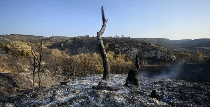 Le feu de l'Aude est sous contrôle mais pas encore éteint 1 - Le Progrès Egyptien