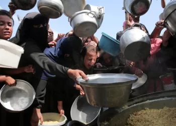 L’ONU déclare la famine à Gaza, une première au Moyen-Orient