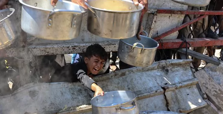 "Trop tard": des Palestiniens désespérés après la déclaration de la famine à Gaza par l'ONU 2 - Le Progrès Egyptien "Trop tard": des Palestiniens désespérés après la déclaration de la famine à Gaza par l'ONU 1 - Le Progrès Egyptien