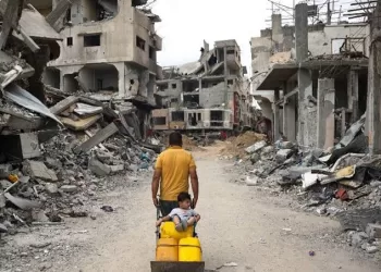 Égypte et UE : Coopération pour un cessez-le-feu à Gaza