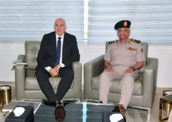 L’Égypte accorde une grande attention au projet d’interconnexion électrique avec la Grèce