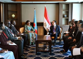 L’Egypte renforce son partenariat stratégique avec la RDC
