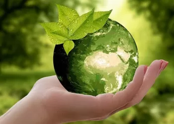 L’Égypte verte: Le pari d’un futur durable