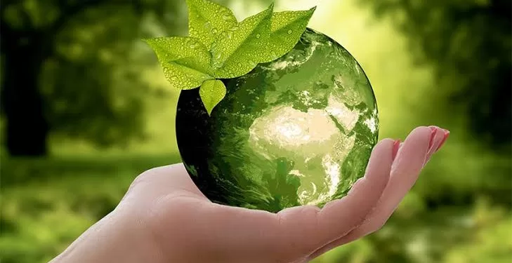 L’Égypte verte: Le pari d’un futur durable 1 - Le Progrès Egyptien