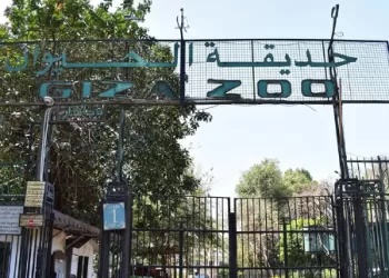 Se promener au zoo !