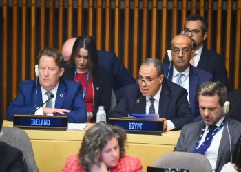 Abdel-Aati à la 2e réunion des ministres des AE du G20