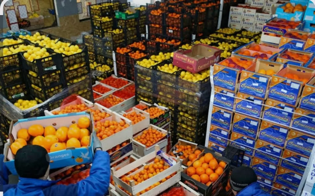 Les exportations égyptiennes conquièrent les marchés mondiaux 4 - Le Progrès Egyptien Les exportations égyptiennes conquièrent les marchés mondiaux 3 - Le Progrès Egyptien