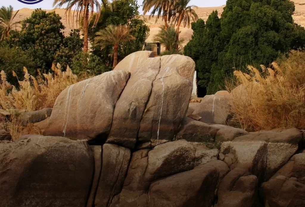 Oasis Ain Khadra, quand les falaises de grès jaunâtres s'enchaînent avec les palmiers 4 - Le Progrès Egyptien Oasis Ain Khadra, quand les falaises de grès jaunâtres s'enchaînent avec les palmiers 3 - Le Progrès Egyptien