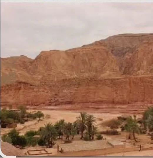 Oasis Ain Khadra, quand les falaises de grès jaunâtres s'enchaînent avec les palmiers 6 - Le Progrès Egyptien Oasis Ain Khadra, quand les falaises de grès jaunâtres s'enchaînent avec les palmiers 5 - Le Progrès Egyptien