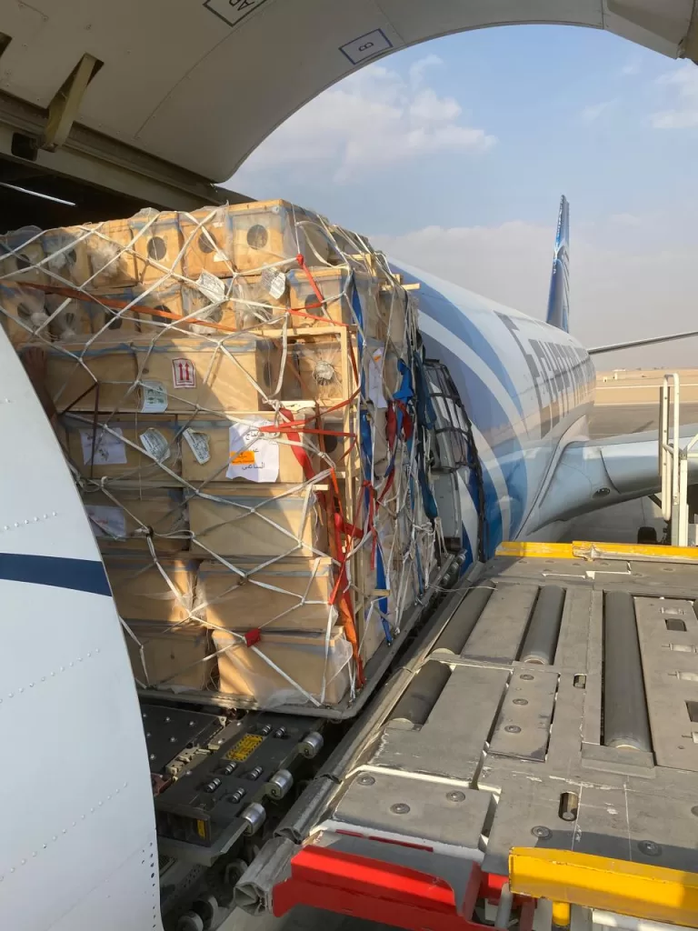 EgyptAir Cargo: Transport d’une cargaison d’abeilles vivantes vers l’Arabie saoudite 6 - Le Progrès Egyptien EgyptAir Cargo: Transport d’une cargaison d’abeilles vivantes vers l’Arabie saoudite 5 - Le Progrès Egyptien