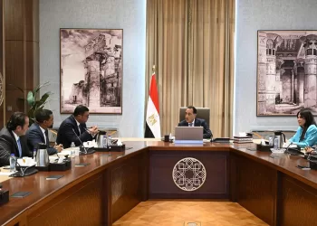 Vers une loi pour encadrer les zones financières et d’affaires en Égypte